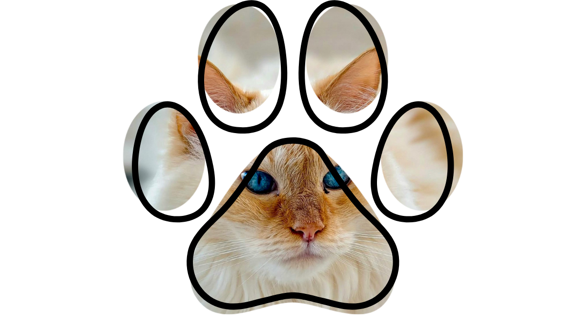 pet health education at vet near me Evansville WY