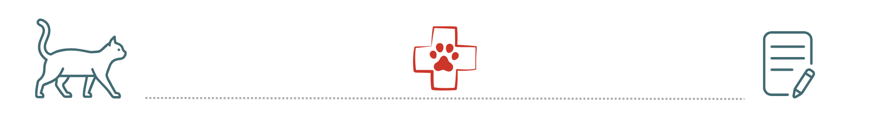 healthy dog supported by pet insurance at All Creatures Veterinary Hospital Gardendale AL